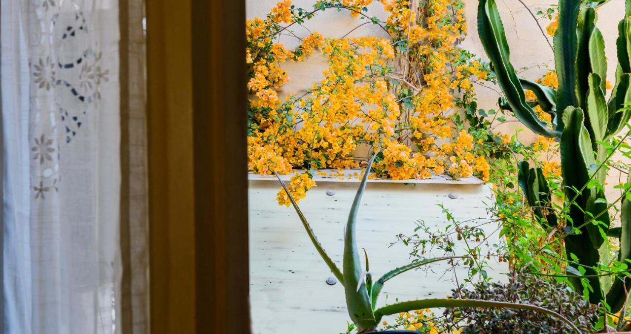Appartamento Casa Cerami13 カターニア エクステリア 写真
